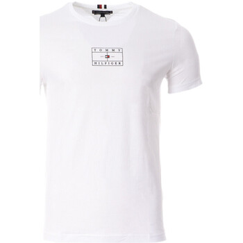 Kleidung Herren T-Shirts & Poloshirts Tommy Hilfiger XM0XM02188BDS Weiss