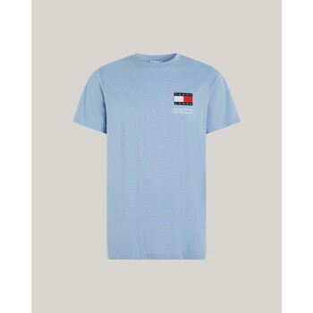 Kleidung Herren T-Shirts Tommy Hilfiger DM0DM18263C3S Blau