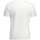 Kleidung Herren T-Shirts Timberland TB0A2C6S Weiss