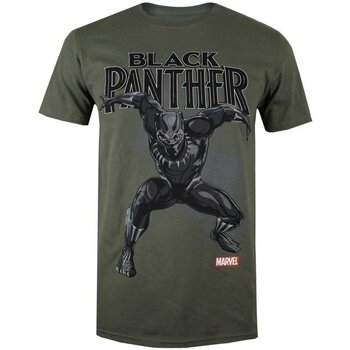 Kleidung Herren T-Shirts Marvel POMTS135 Grün