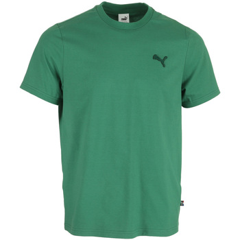 Kleidung Herren T-Shirts Puma Fd Mif Tee Shirt Vine Grün