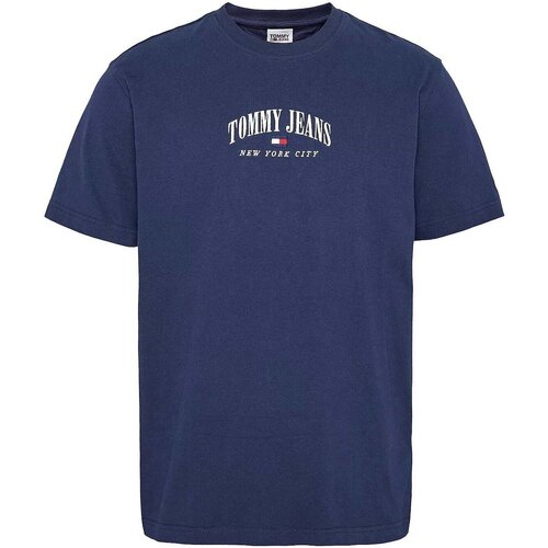 Kleidung Herren T-Shirts Tommy Hilfiger DM0DM15654 Blau