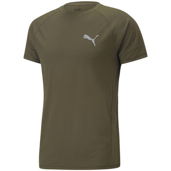 Kleidung Herren T-Shirts & Poloshirts Puma 849913-70 Grün