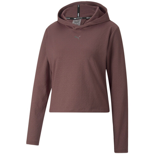 Kleidung Damen Sweatshirts Puma 522377-75 Violett