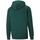 Kleidung Herren Sweatshirts Puma 535596-24 Grün