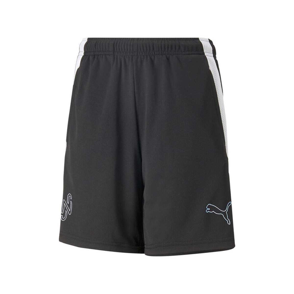 Kleidung Jungen Shorts / Bermudas Puma 658329-03 Schwarz