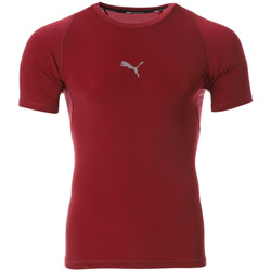 Kleidung Herren T-Shirts & Poloshirts Puma 764885-09 Rot