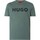 Kleidung Herren T-Shirts BOSS Dulivio Grafik-T-Shirt Grün