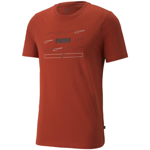 Kleidung Herren T-Shirts & Poloshirts Puma 847433-23 Orange