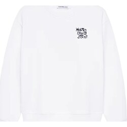 Kleidung Jungen Sweatshirts Calvin Klein Jeans IB0IB01952 Weiss