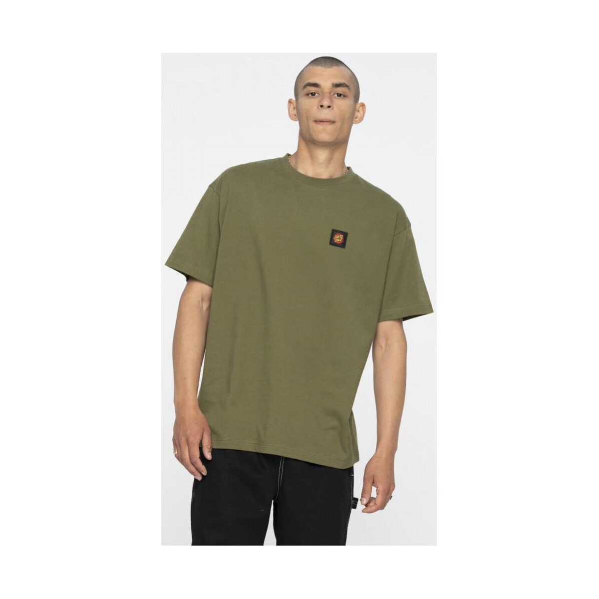 Kleidung Herren T-Shirts & Poloshirts Santa Cruz Classic label t-shirt Grün