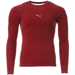 Kleidung Herren T-Shirts & Poloshirts Puma 764886-09 Rot