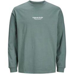 Kleidung Jungen T-Shirts & Poloshirts Jack & Jones 12253958 ESTERBRO-LAREL WREATH Grün