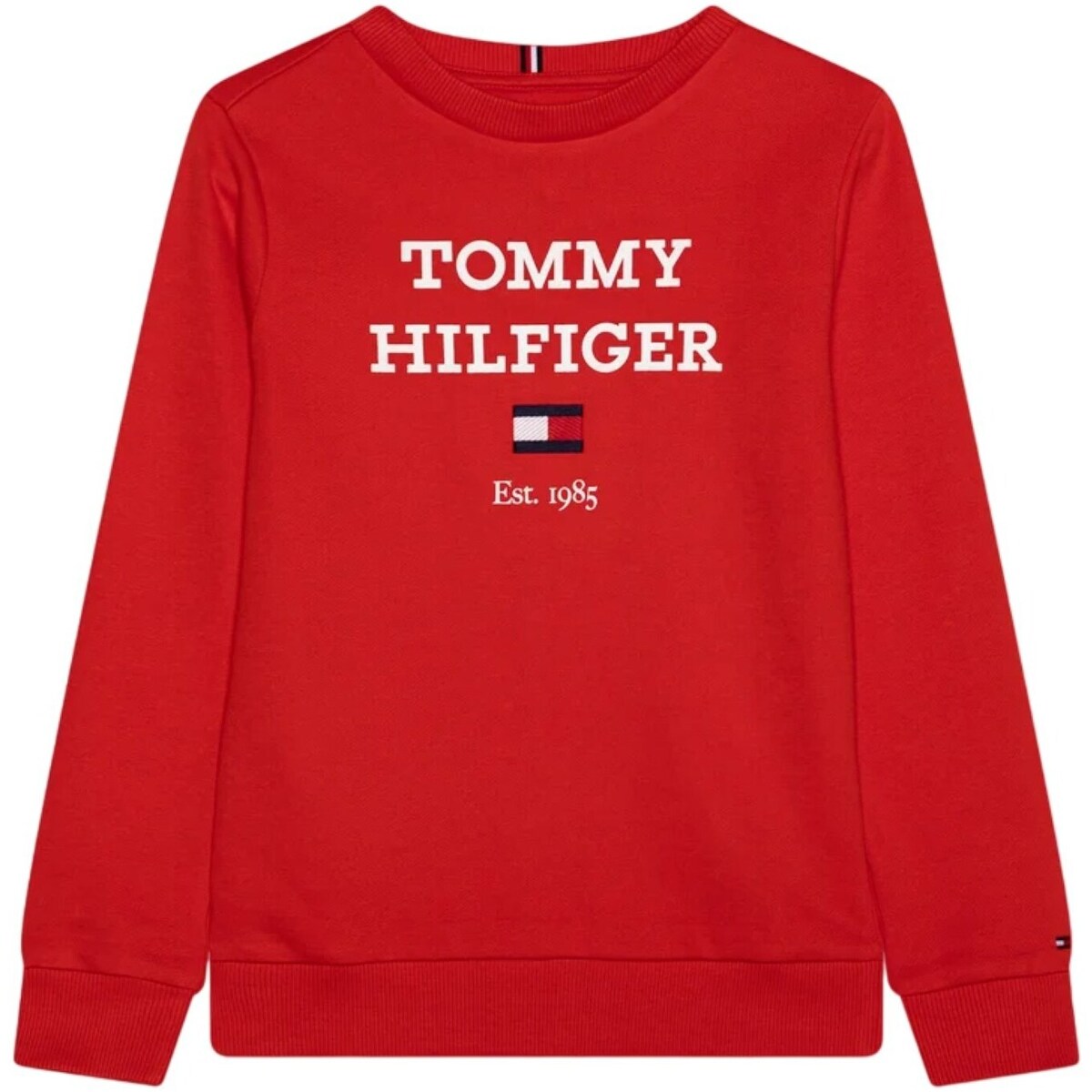 Kleidung Jungen Sweatshirts Tommy Hilfiger KB0KB08713 Rot