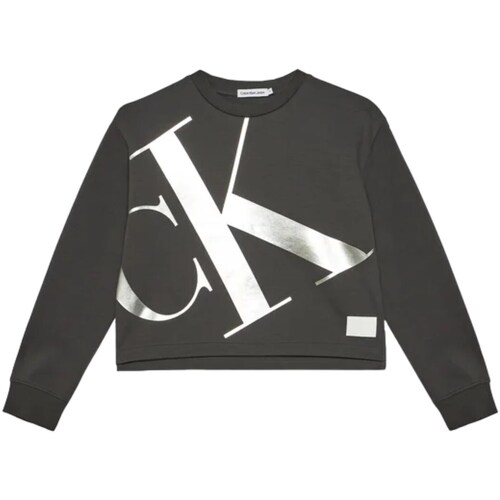 Kleidung Mädchen Sweatshirts Calvin Klein Jeans IG0IG02482 Grau