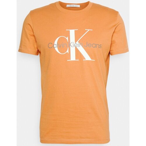 Kleidung Herren T-Shirts Calvin Klein Jeans J30J320806 Orange