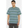 Kleidung Herren T-Shirts & Poloshirts Dickies Glade spring tee ss Multicolor