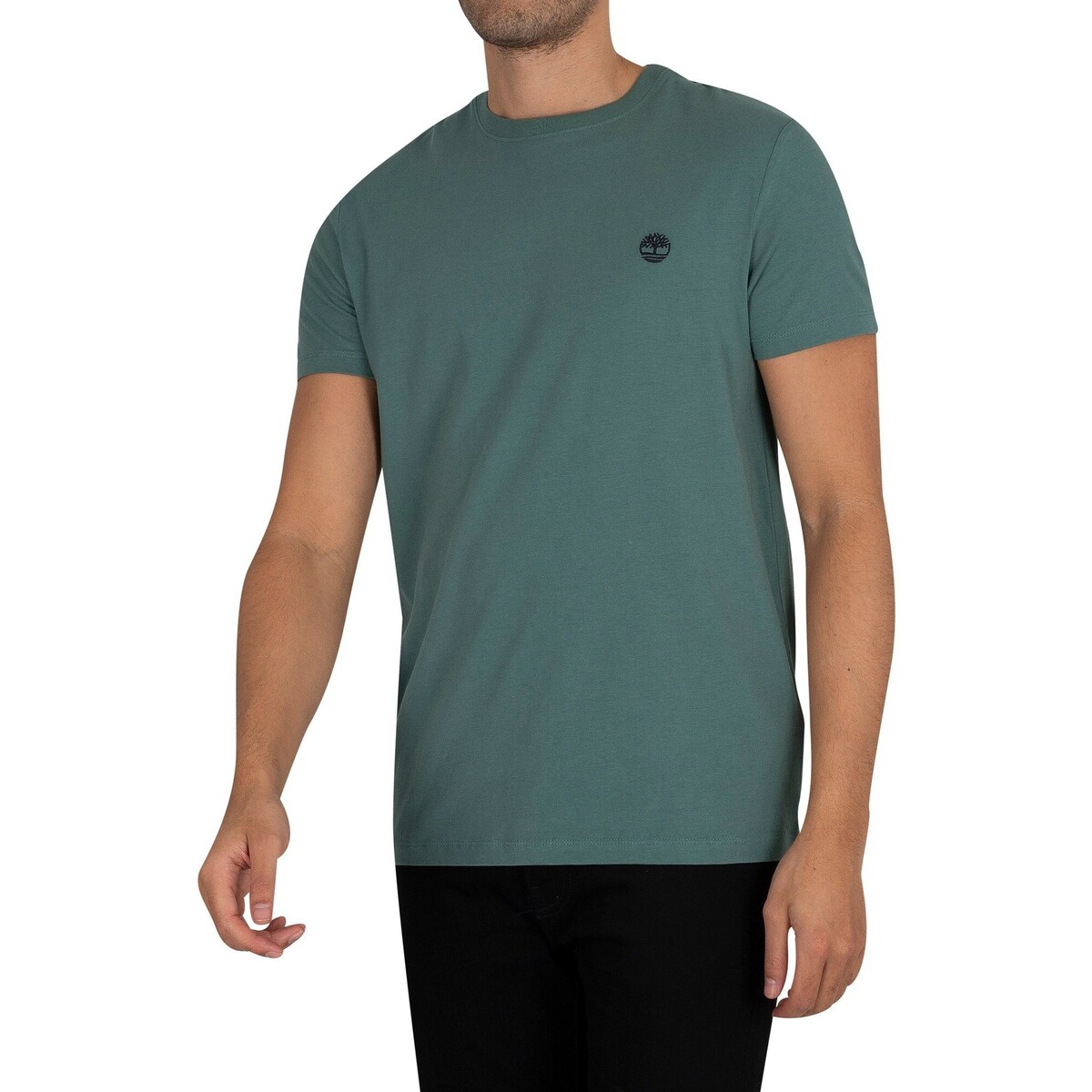 Kleidung Herren T-Shirts Timberland Dun-River schmales T-Shirt mit Rundhalsausschnitt Grün