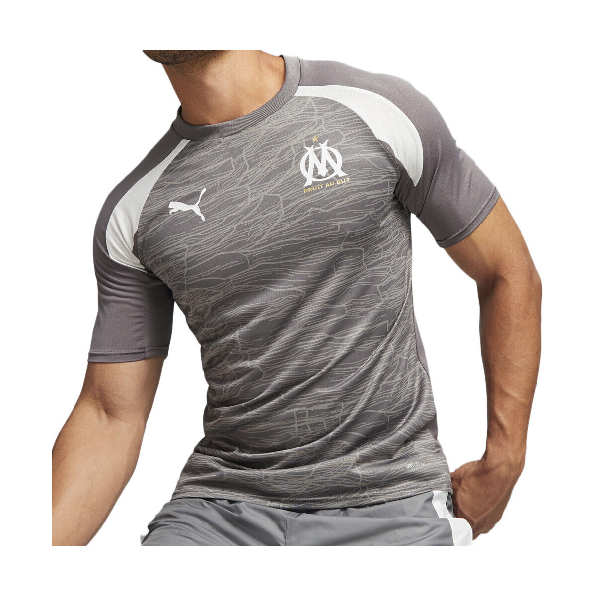 Kleidung Herren T-Shirts & Poloshirts Puma 771898-07 Grau