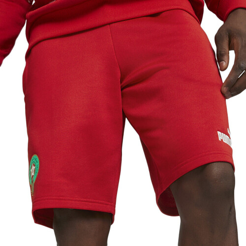Kleidung Herren Shorts / Bermudas Puma 772485-01 Rot