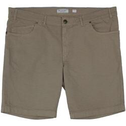 Kleidung Herren Shorts / Bermudas Max Fort QUERCIA Grau
