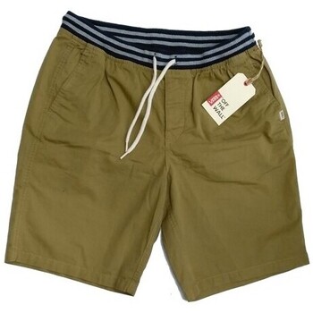 Kleidung Herren Shorts / Bermudas Vans VN0000QD Beige
