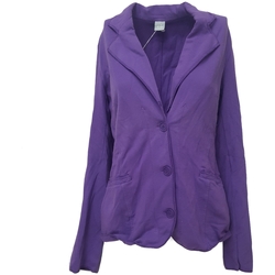 Kleidung Damen Strickjacken Deha A05154 Violett