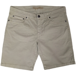 Kleidung Herren Shorts / Bermudas Refrigiwear MADISON Beige