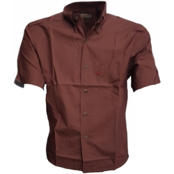 Kleidung Herren Kurzärmelige Hemden Invicta A51436 Bordeaux