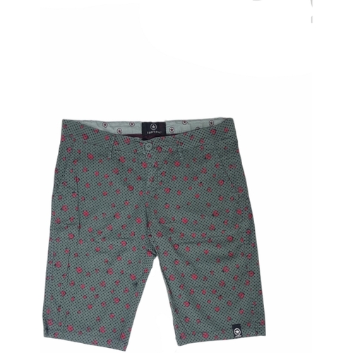 Kleidung Damen Shorts / Bermudas Converse 8ED658A Grün