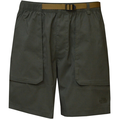 Kleidung Herren Shorts / Bermudas The North Face NF0A81WZ Grün