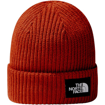 Accessoires Hüte The North Face NF0A3FJW Braun