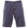 Kleidung Herren Shorts / Bermudas Champion 213043 Grau