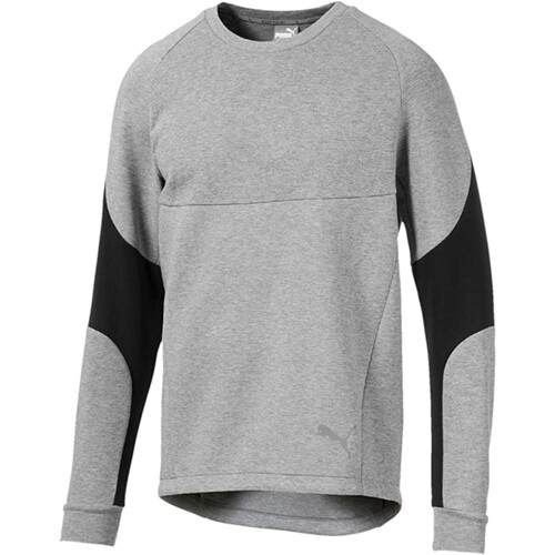 Kleidung Herren Sweatshirts Puma 580091 Grau