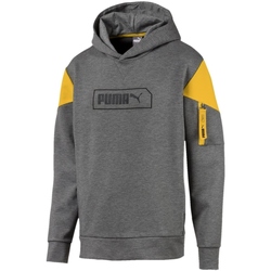 Kleidung Herren Sweatshirts Puma 580388 Grau