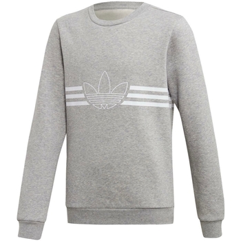 Kleidung Jungen Sweatshirts adidas Originals ED7856 Grau
