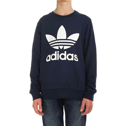 Kleidung Jungen Sweatshirts adidas Originals CF8568 Blau