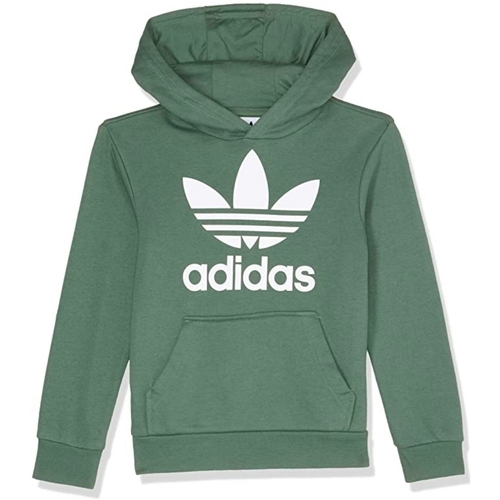 Kleidung Jungen Sweatshirts adidas Originals DH2668 Grün