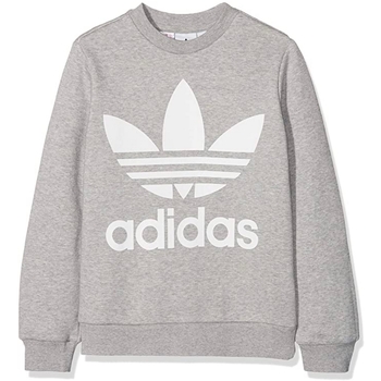 Kleidung Jungen Sweatshirts adidas Originals DH2706 Grau