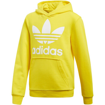 Kleidung Jungen Sweatshirts adidas Originals CD6503 Gelb