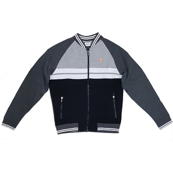 Kleidung Herren Sweatshirts Ellesse EFM908W18-GM02 Grau