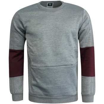 Kleidung Herren Sweatshirts adidas Originals AY8720 Grau