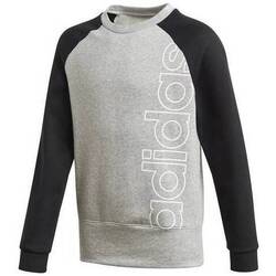 Kleidung Jungen Sweatshirts adidas Originals GD6330 Grau