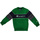 Kleidung Jungen Sweatshirts Champion 305389 Grün