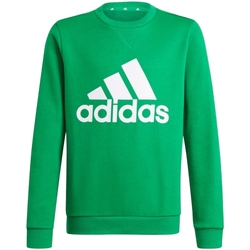 Kleidung Jungen Sweatshirts adidas Originals GN4030 Grün