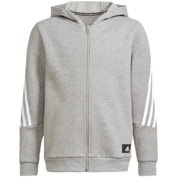 Kleidung Jungen Sweatshirts adidas Originals H26635 Grau