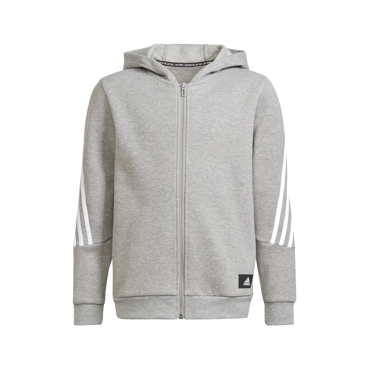 Kleidung Jungen Sweatshirts adidas Originals H26635 Grau