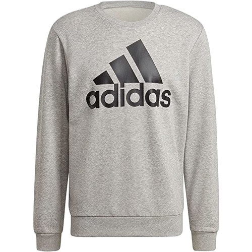 Kleidung Herren Sweatshirts adidas Originals GK9077 Grau