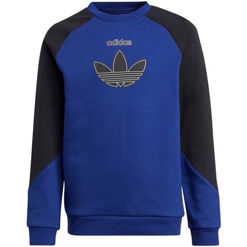 Kleidung Jungen Sweatshirts adidas Originals H31210 Blau