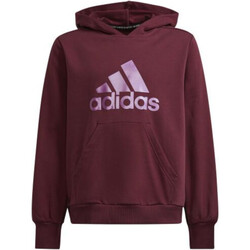 Kleidung Mädchen Sweatshirts adidas Originals H26590 Violett